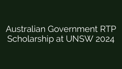 Australian Government RTP Scholarship at UNSW 2024