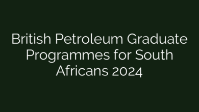 British Petroleum Graduate Programmes for South Africans 2024