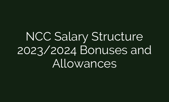 Nissan N6 visual data 7