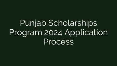 Punjab Scholarships Program 2024 Application Process