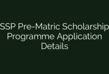 SSP Pre-Matric Scholarship Programme Application Details