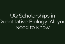 UQ Scholarships in Quantitative Biology: All you Need to Know