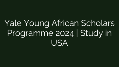 Yale Young African Scholars Programme 2024 | Study in USA