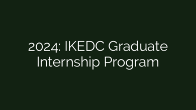2024:  IKEDC Graduate Internship Program