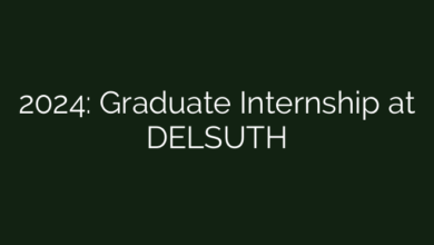 2024: Graduate Internship at DELSUTH