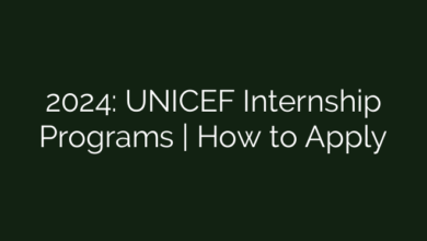 2024: UNICEF Internship Programs | How to Apply