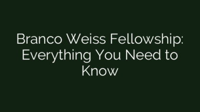 Branco Weiss Fellowship: Everything You Need to Know