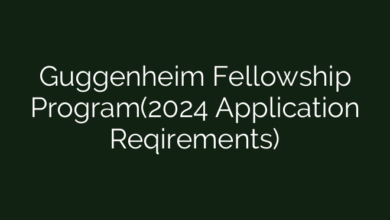 Guggenheim Fellowship Program(2024 Application Reqirements)