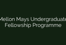 Mellon Mays Undergraduate Fellowship Programme
