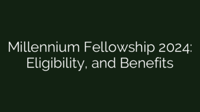 Millennium Fellowship 2024: Eligibility, and Benefits