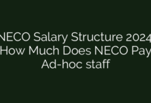 NECO Salary Structure 2024: How Much Does NECO Pay Ad-hoc staff