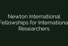 Newton International Fellowships for International Researchers