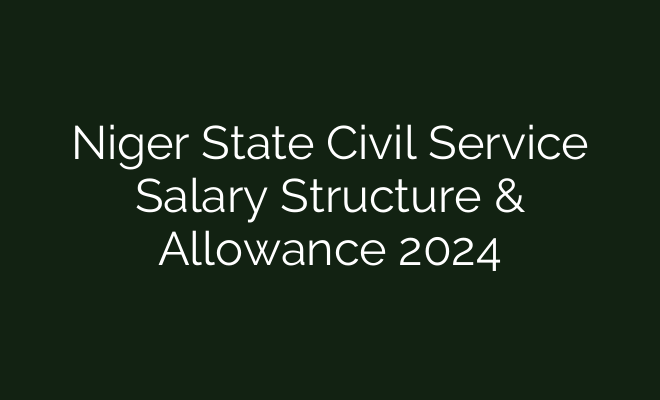 Niger State Civil Service Salary Structure And Allowance 2024 British Visa