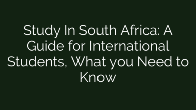 Study In South Africa: A Guide for International Students, What you Need to Know