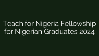 Teach for Nigeria Fellowship for Nigerian Graduates 2024