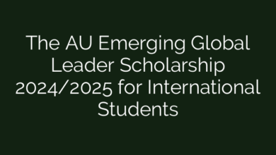 The AU Emerging Global Leader Scholarship 2024/2025 for International Students