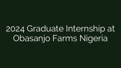 2024 Graduate Internship at Obasanjo Farms Nigeria