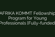 AFRIKA KOMMT Fellowship Program for Young Professionals [Fully-funded]
