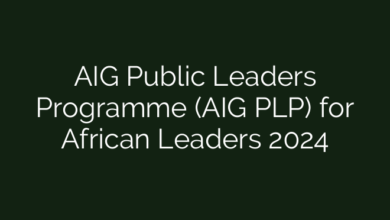 AIG Public Leaders Programme (AIG PLP) for African Leaders 2024