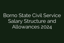 Borno State Civil Service Salary Structure and Allowances 2024