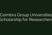 Coimbra Group Universities Scholarship for Researchers