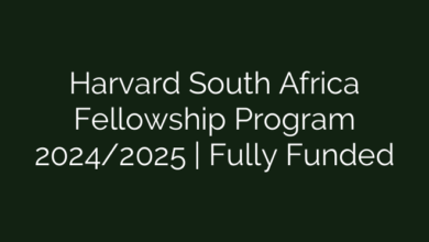 Harvard South Africa Fellowship Program 2024/2025 | Fully Funded