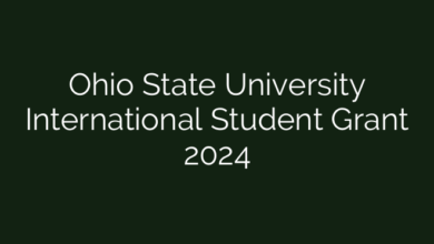 Ohio State University International Student Grant 2024