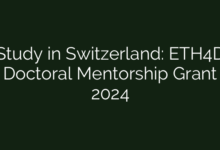 Study in Switzerland: ETH4D Doctoral Mentorship Grant 2024