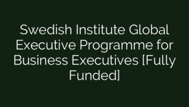 Swedish Institute Global Executive Programme for Business Executives [Fully Funded]