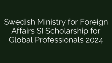 Swedish Ministry for Foreign Affairs SI Scholarship for Global Professionals 2024
