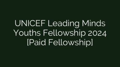 UNICEF Leading Minds Youths Fellowship 2024 [Paid Fellowship]
