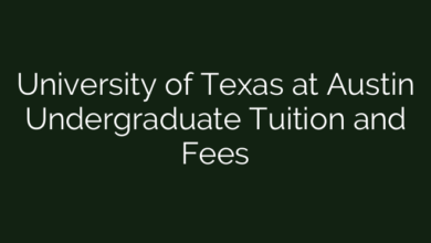University of Texas at Austin Undergraduate Tuition and Fees