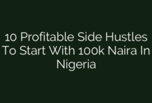 10 Profitable Side Hustles To Start With 100k Naira In Nigeria
