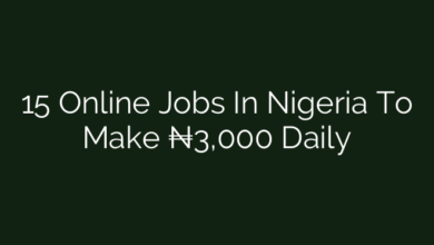 15 Online Jobs In Nigeria To Make ₦3,000 Daily