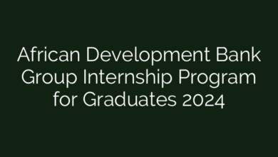 African Development Bank Group Internship Program for Graduates 2024