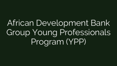 African Development Bank Group Young Professionals Program (YPP)