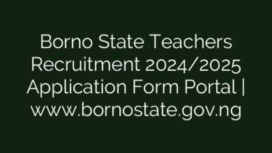 Borno State Teachers Recruitment 2024/2025 Application Form Portal | www.bornostate.gov.ng