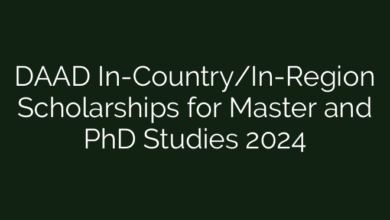 DAAD In-Country/In-Region Scholarships for Master and PhD Studies 2024