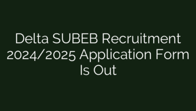 Delta SUBEB Recruitment 2024/2025 Application Form Is Out