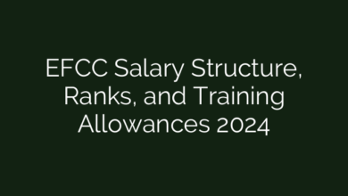 EFCC Salary Structure, Ranks, and Training Allowances 2024