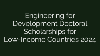 Engineering for Development Doctoral Scholarships for Low-Income Countries 2024