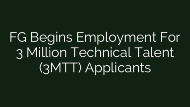 FG Begins Employment For 3 Million Technical Talent (3MTT) Applicants