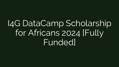 I4G DataCamp Scholarship for Africans 2024 [Fully Funded]