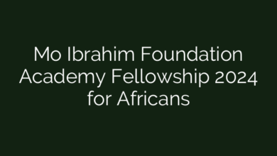 Mo Ibrahim Foundation Academy Fellowship 2024 for Africans