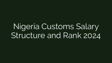 Nigeria Customs Salary Structure and Rank 2024