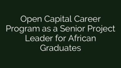 Open Capital Career Program as a Senior Project Leader for African Graduates