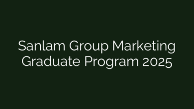 Sanlam Group Marketing Graduate Program 2025