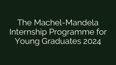 The Machel-Mandela Internship Programme for Young Graduates 2024