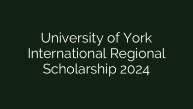 University of York International Regional Scholarship 2024