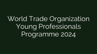 World Trade Organization Young Professionals Programme 2024